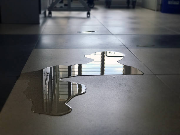 Best 24-hour water damage restoration  in Paola, KS