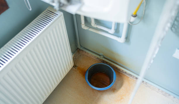 Best Flooded house restoration  in Paola, KS